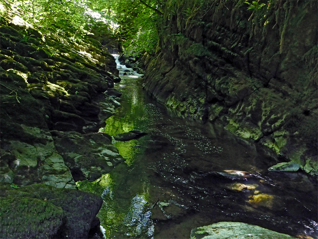 Long Pool - south