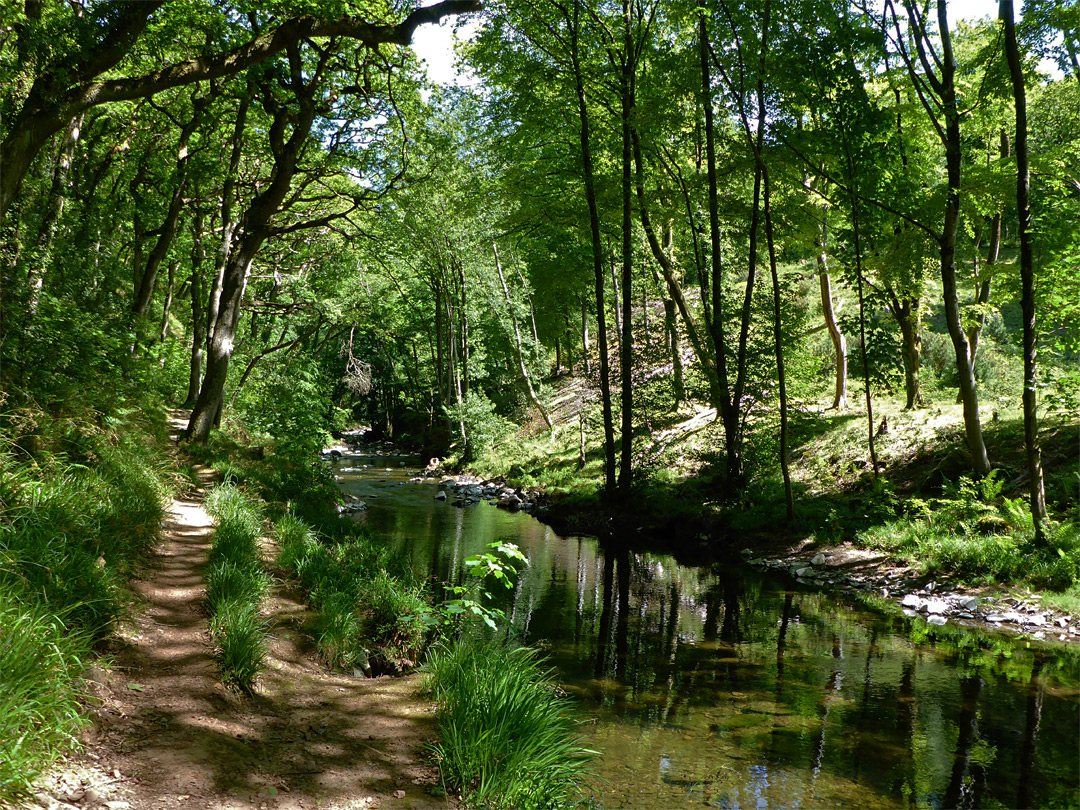 Riverside path