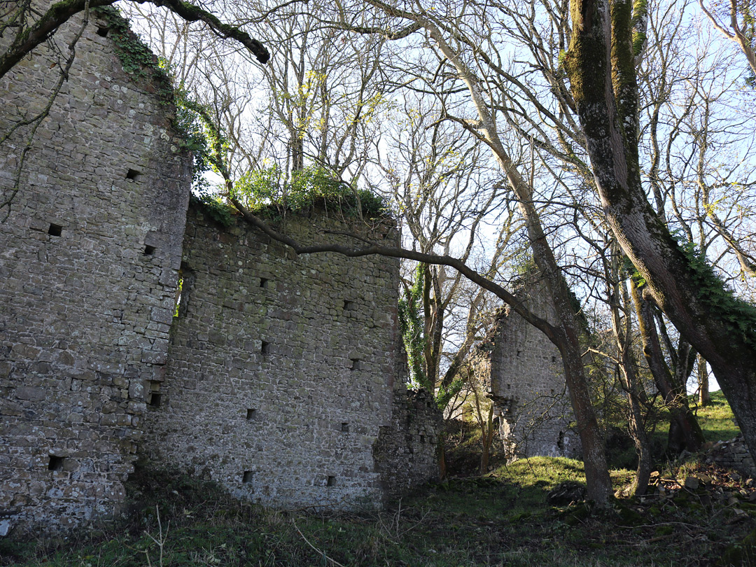 Walls of the mansion