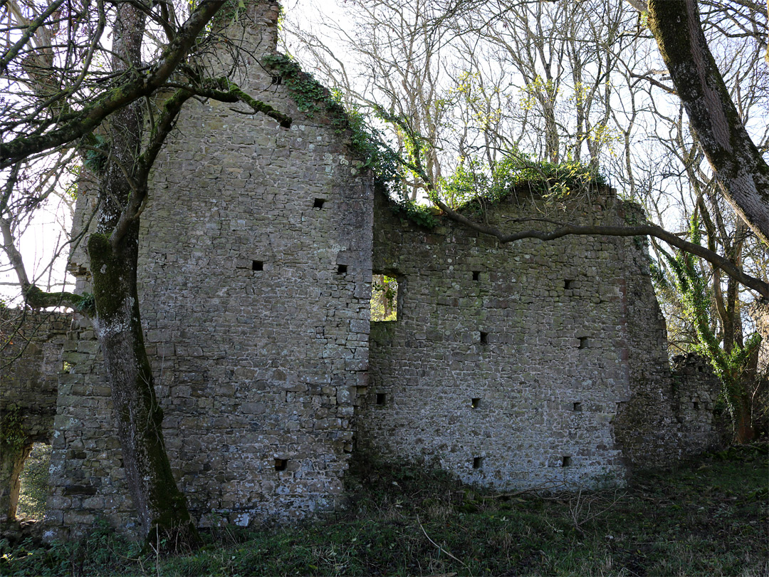 North walls