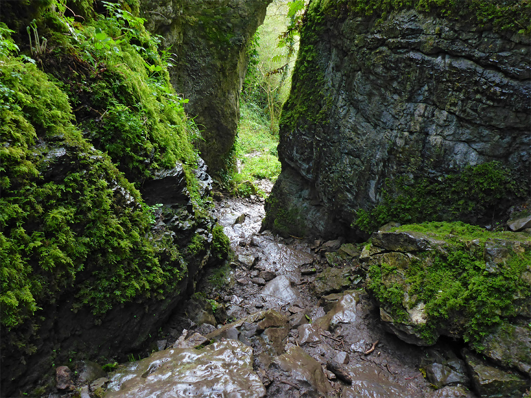 Moss-covered cliffs