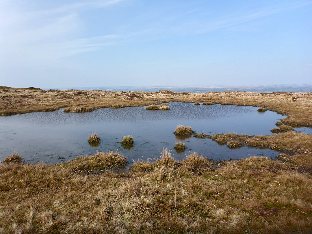 Shallow pond