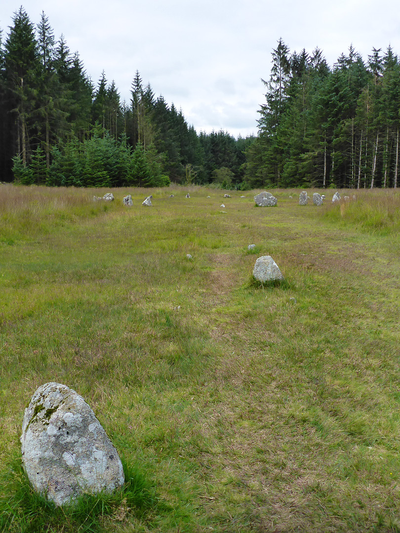 Fernworthy Stone Row