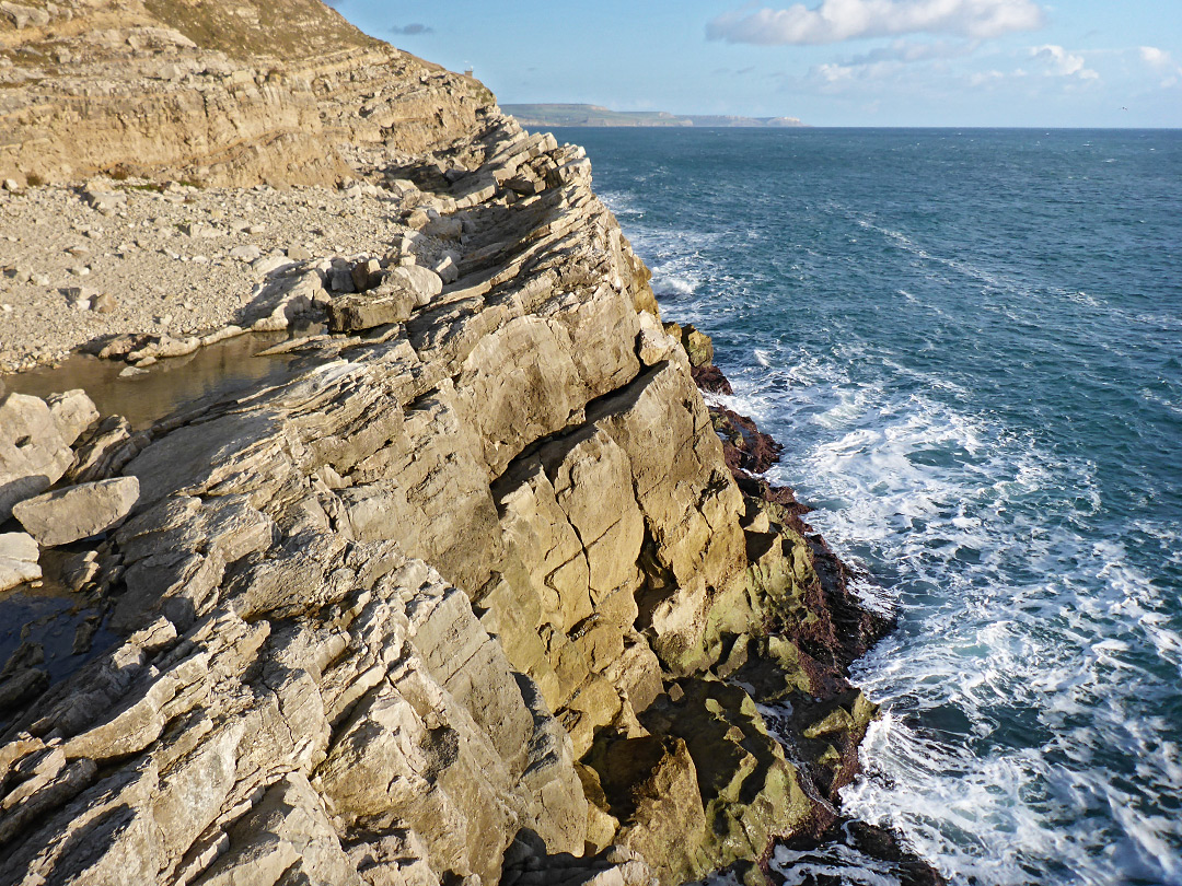 Cliff at the Fossil Forest