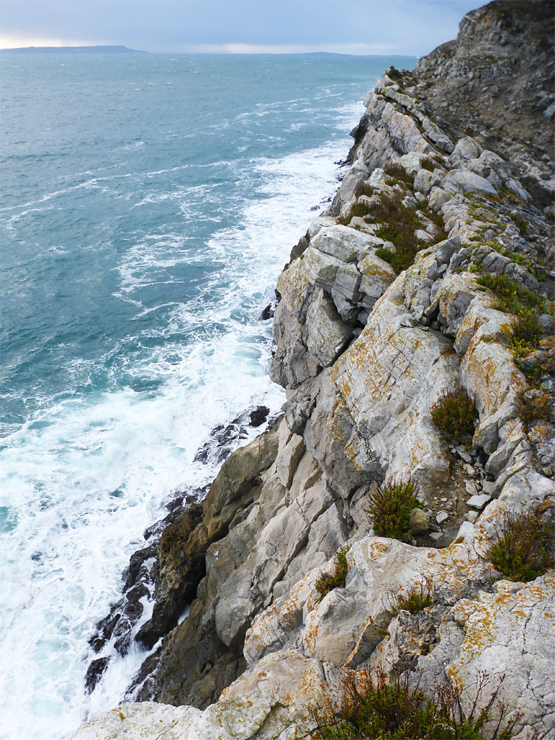 Lichen on cliffs