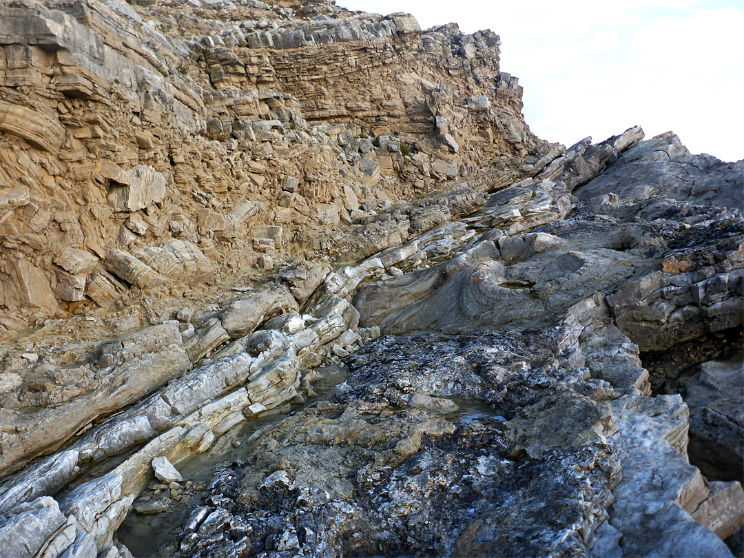 Ledge with thrombolites