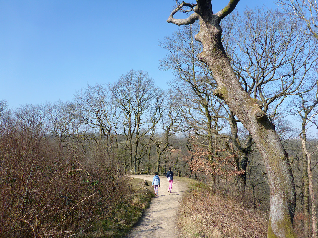 Path on the valley rim