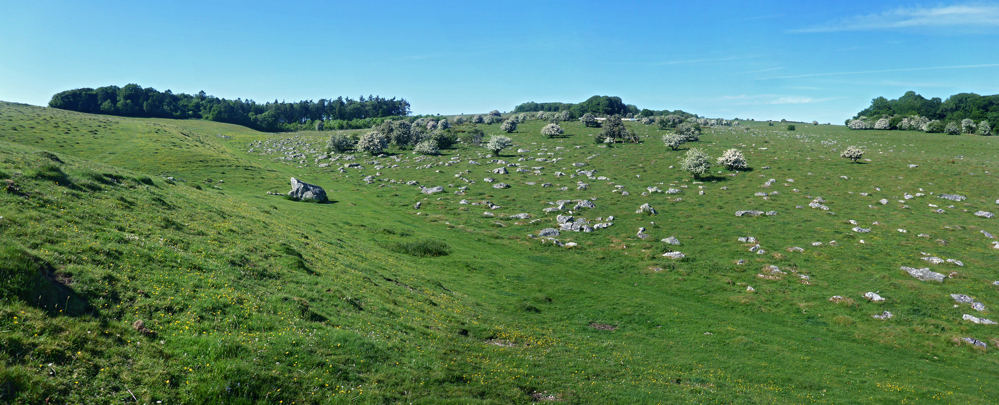 Panorama of the downs