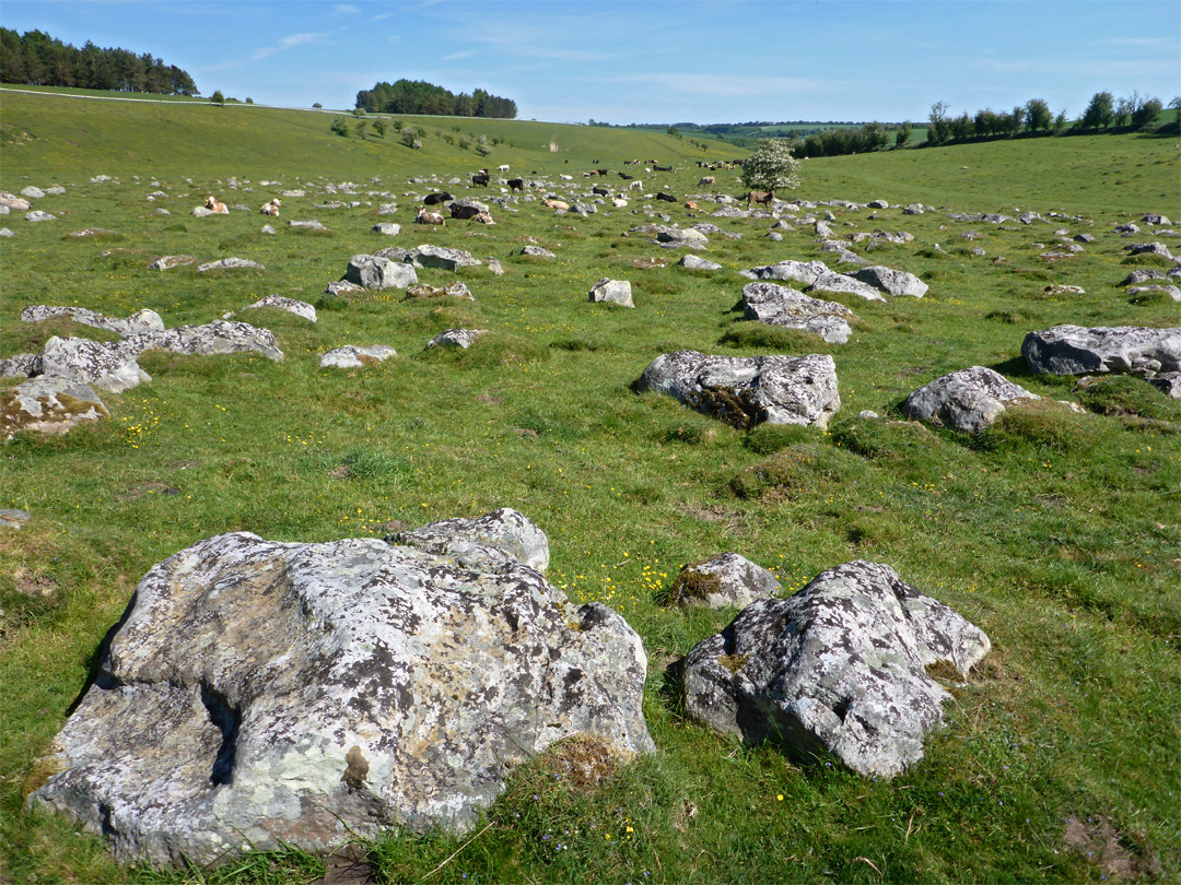 Sarsen stones