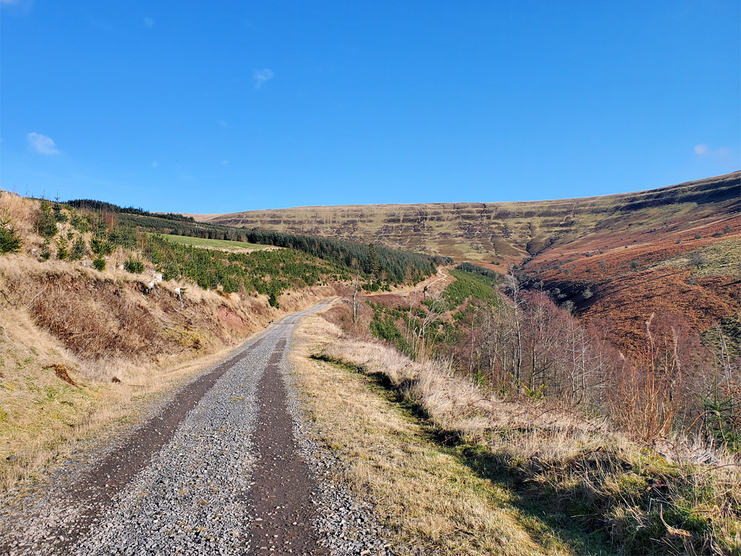 Track into the hills