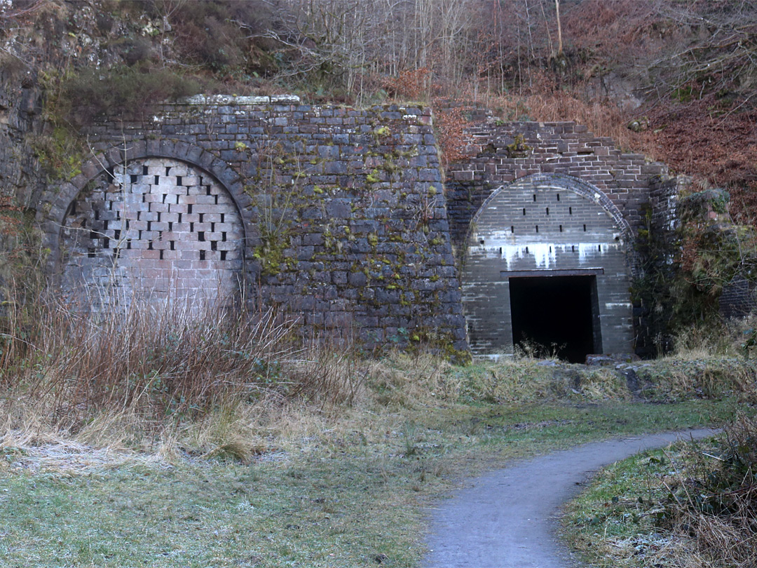 Gellifelen railway tunnels