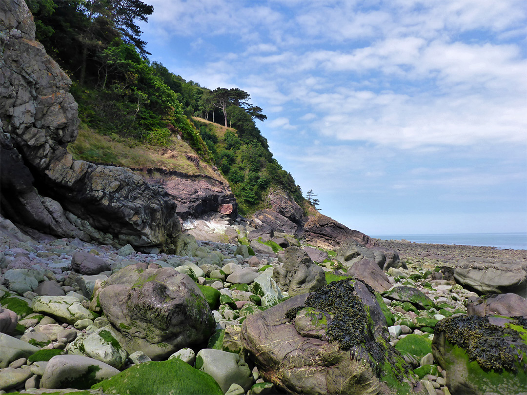 West end of Glenthorne Beach