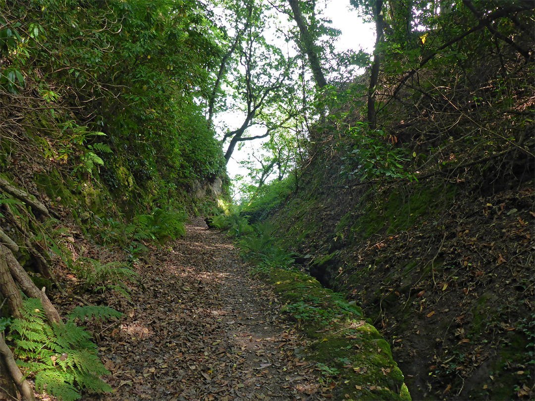 Path to Glenthorne Beach