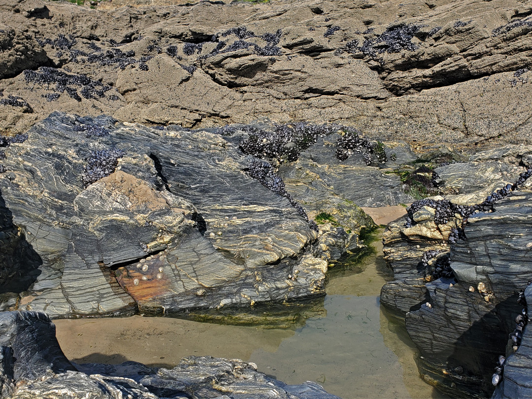 Rock pool