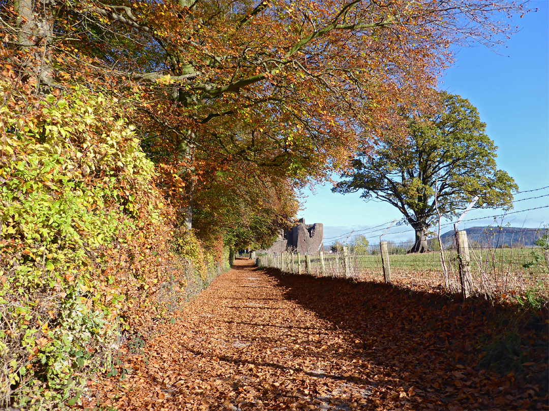 The approach track