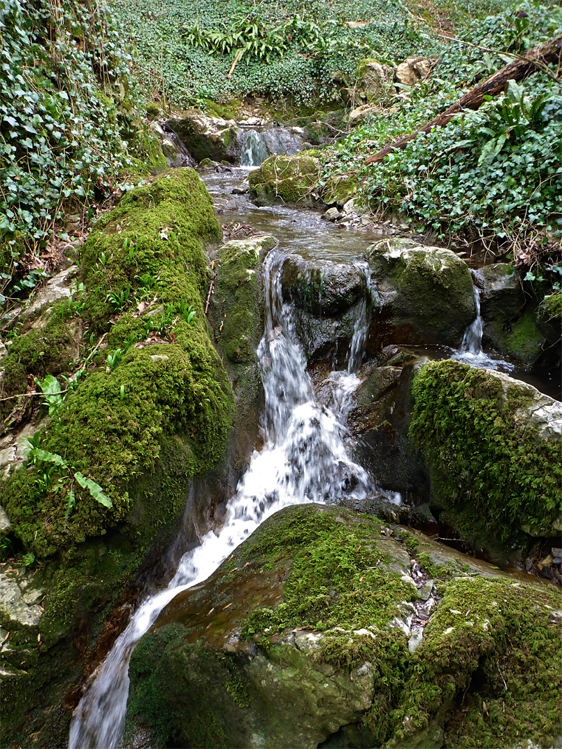 Mossy boulders