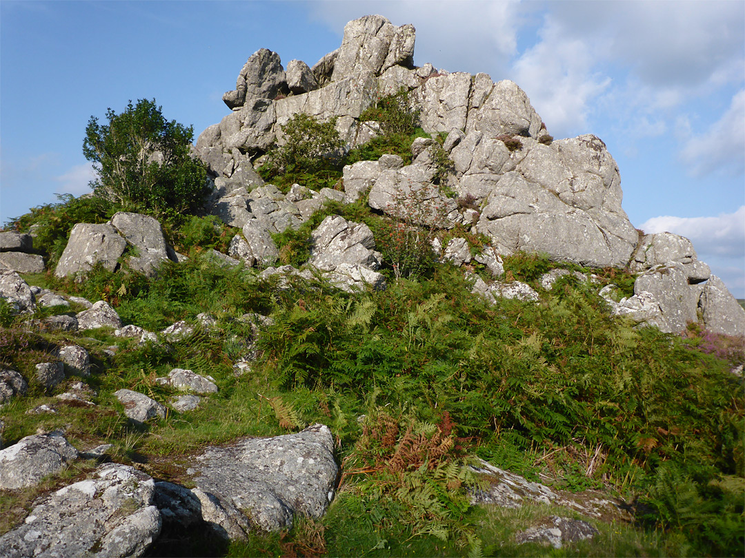 Bracken and granite