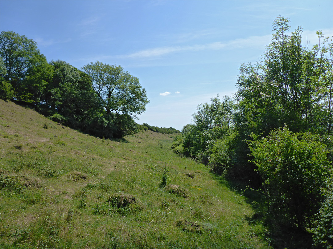 West end of the reserve