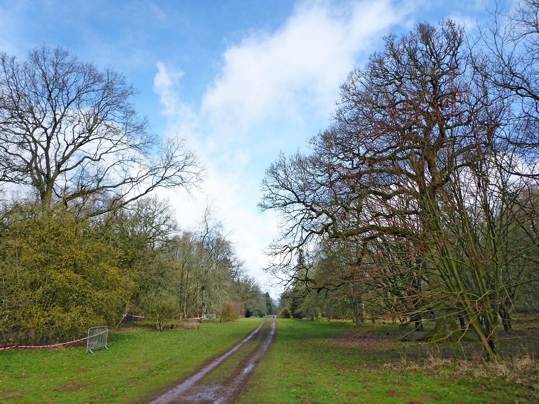 Green Lane