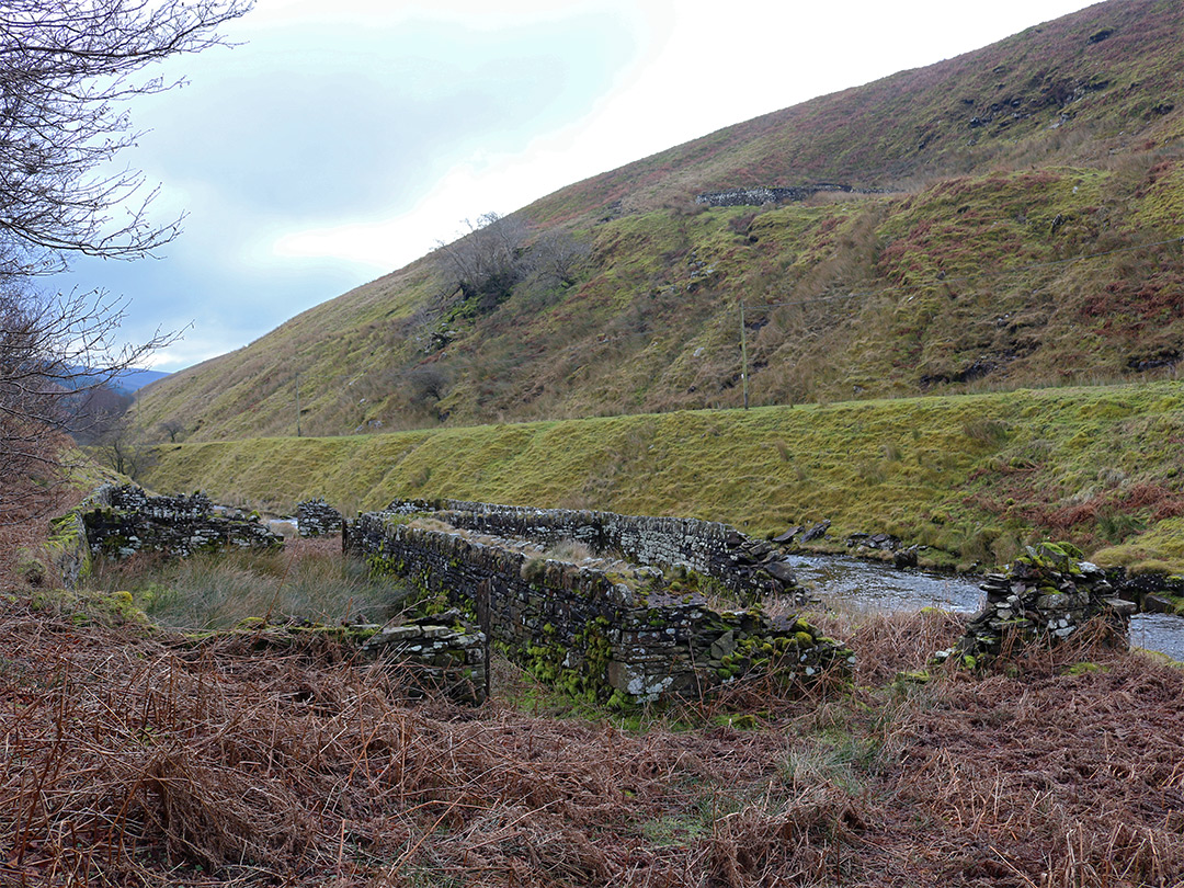 Sheepfolds beside Grwyne Fawr