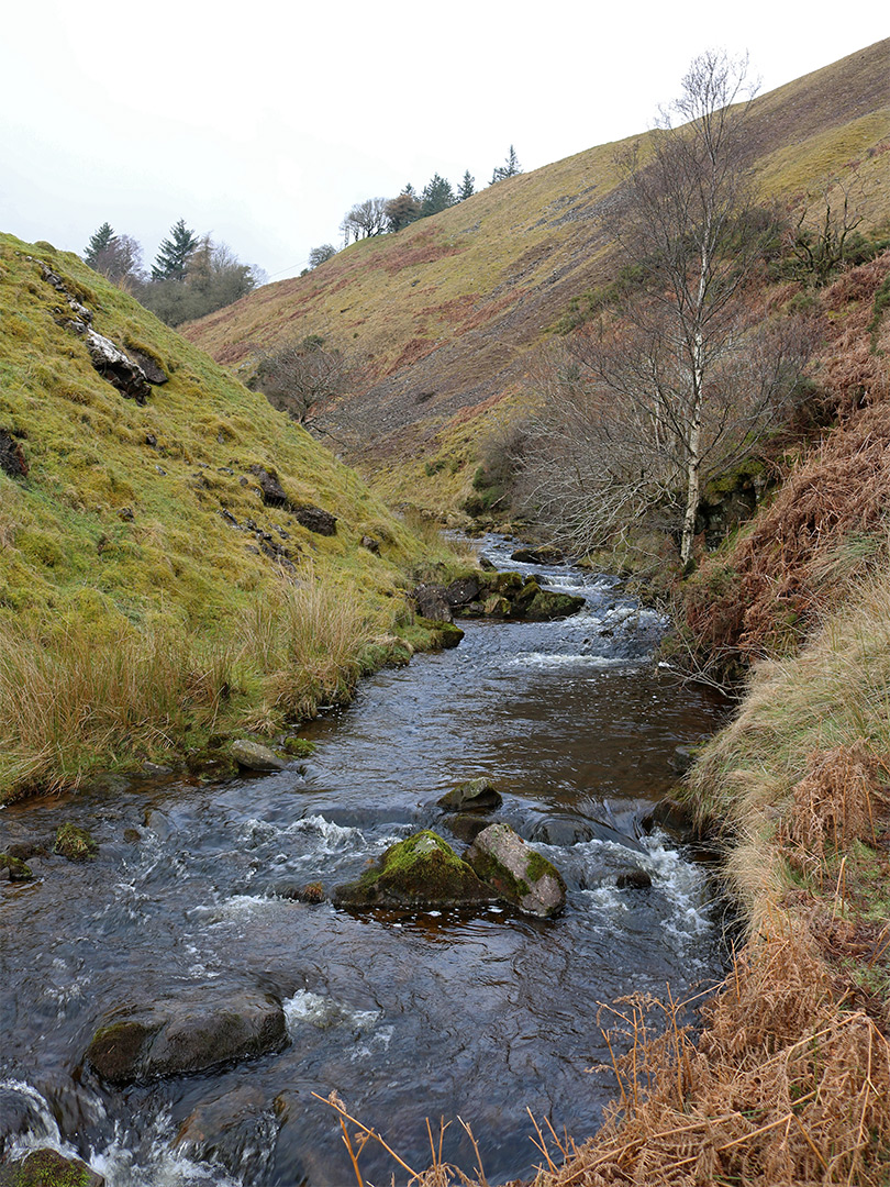 Boulders in Grwyne Fawr