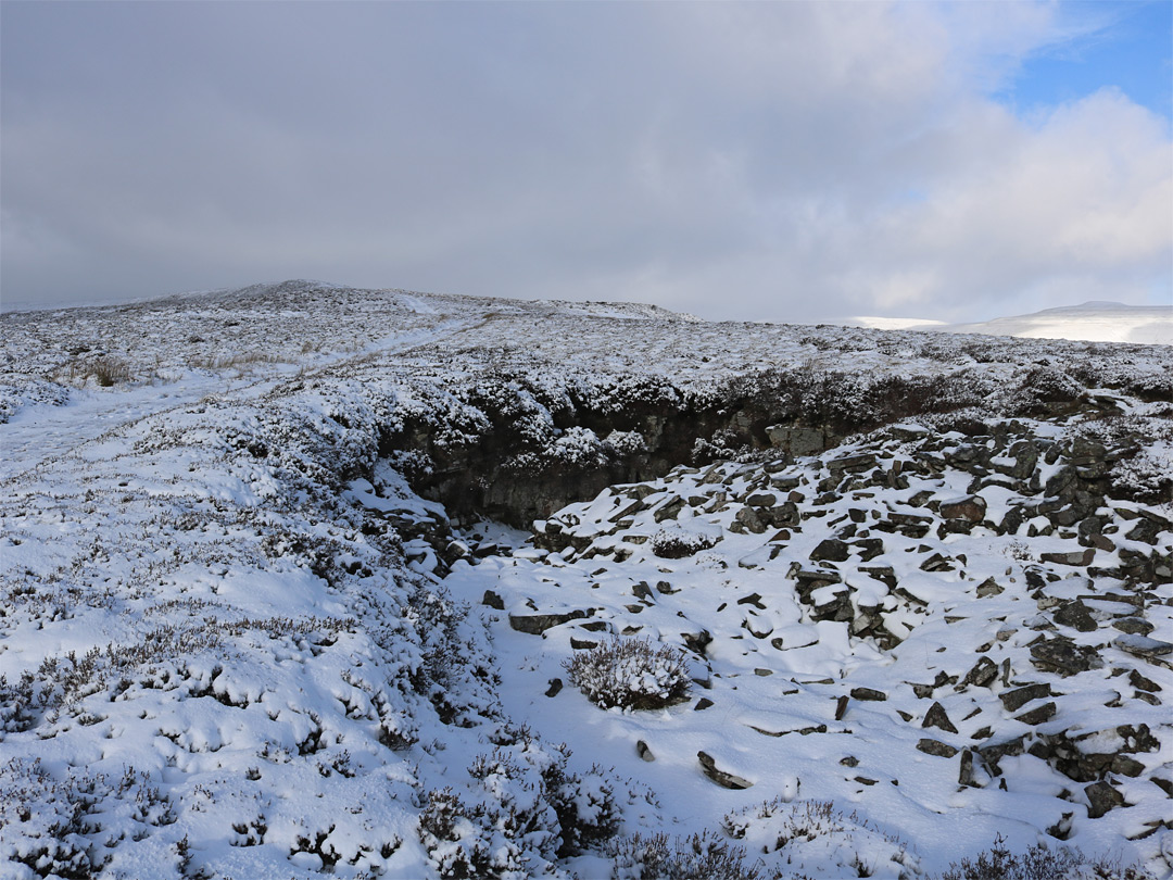 Old quarry