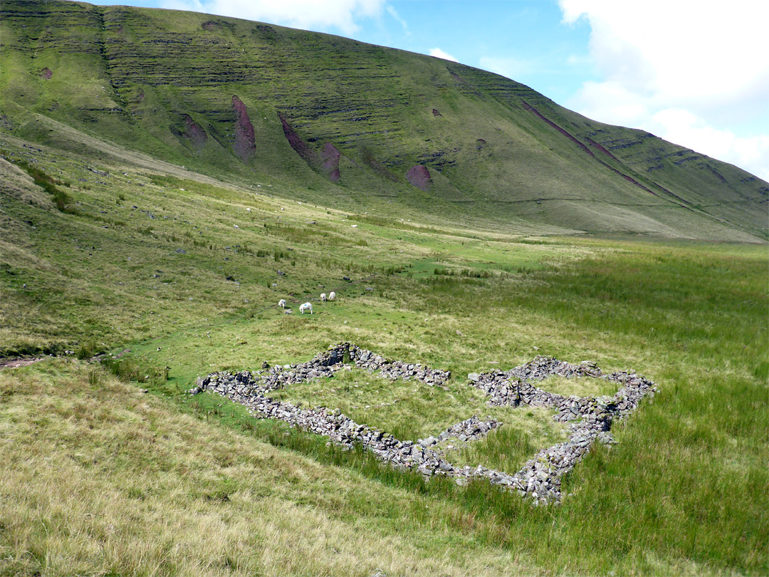 Ruin near Gwal y Cadno