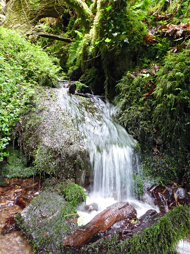 Small cascade