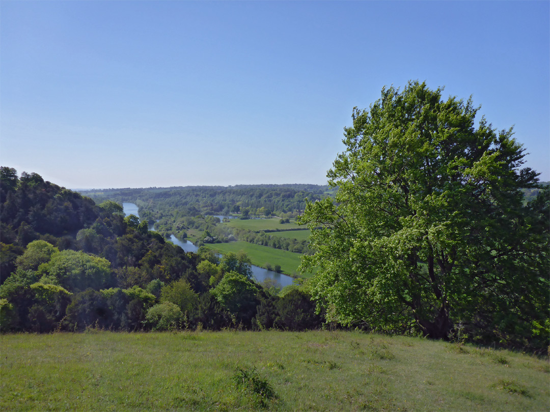 Hartslock Wood