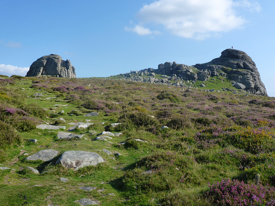 Moorland path