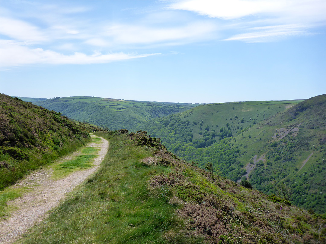 Heddon Valley