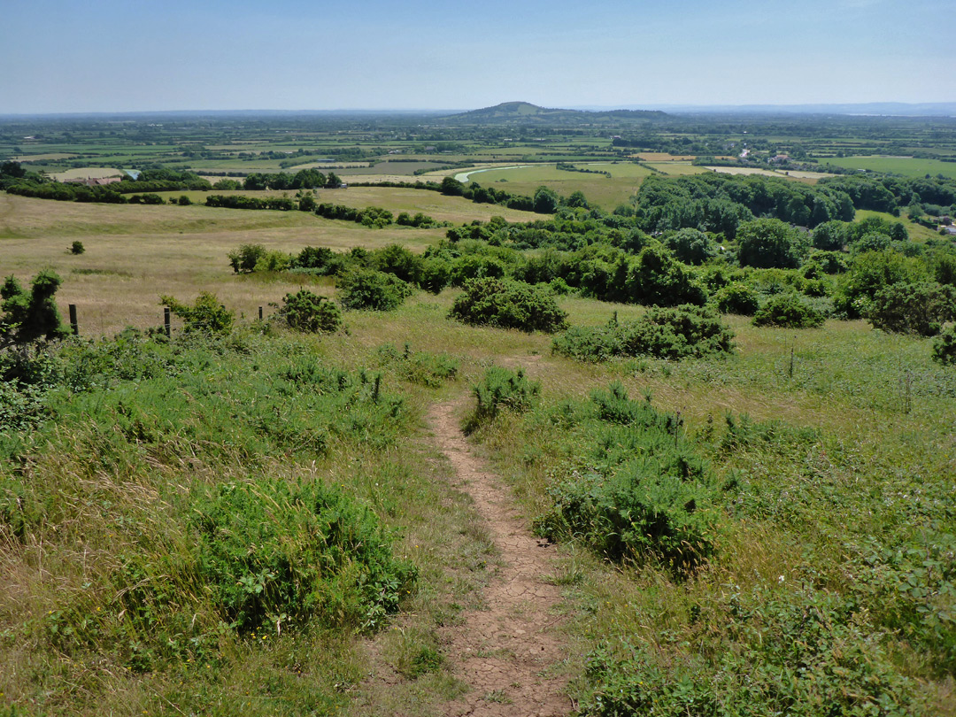 The view south