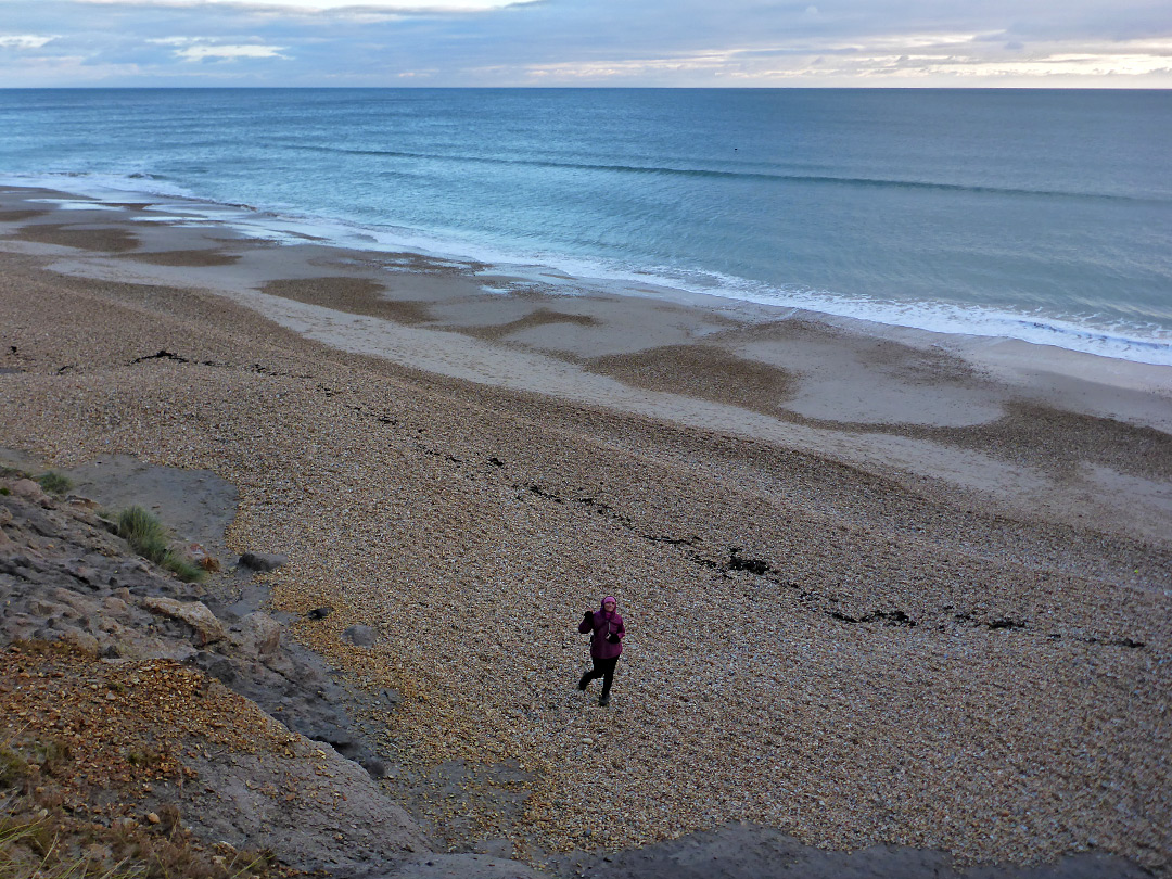 Pebble beach