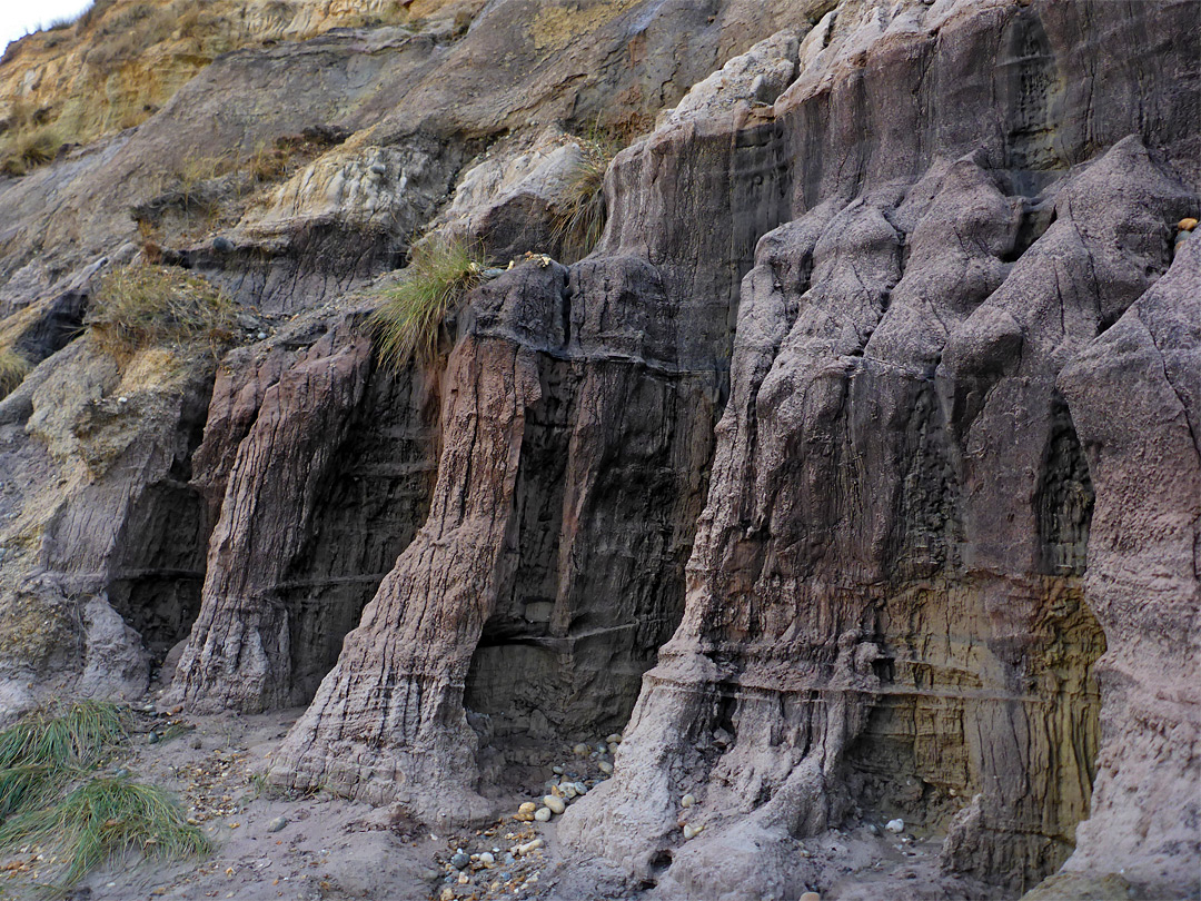 Boscombe Sand Formation