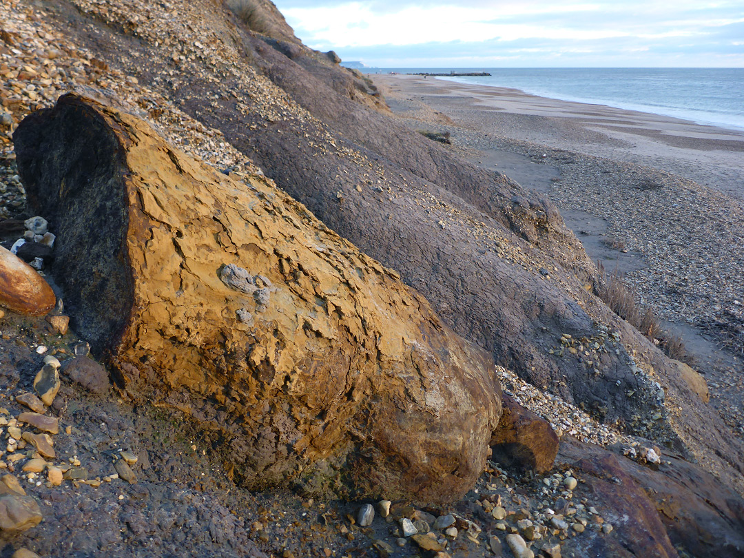 Clayish slopes