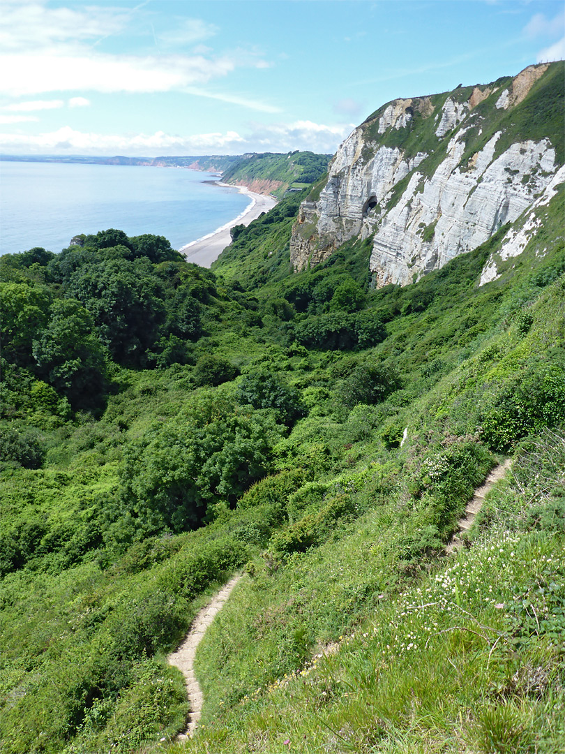 Path into the Hooken Undercliffs