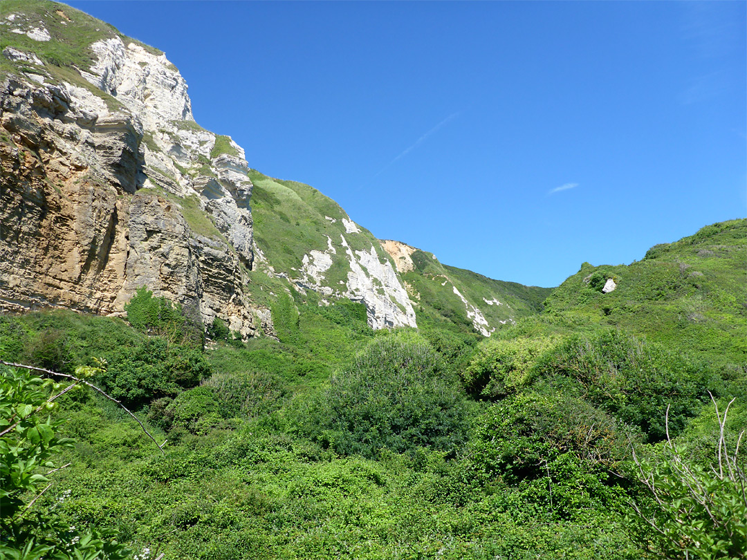 Grassy slopes