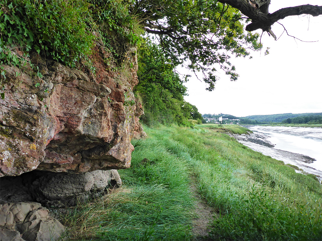 Cliff and saltmarsh