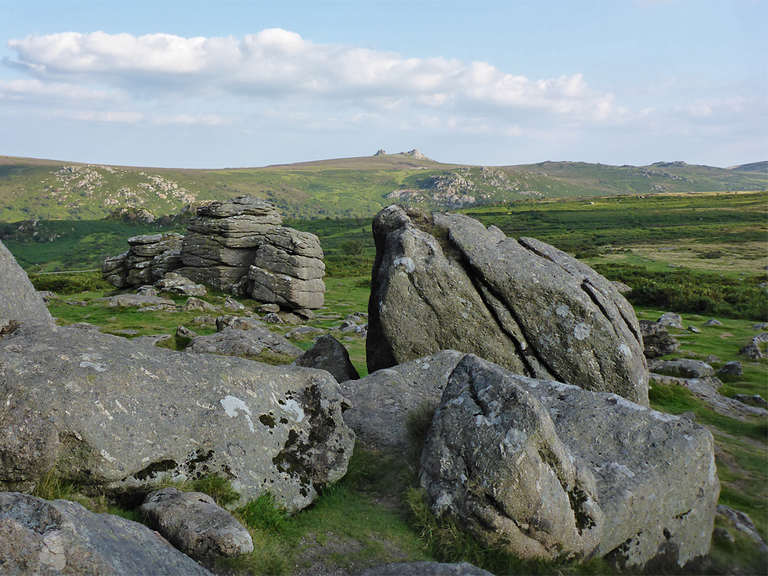Hound Tor - view east