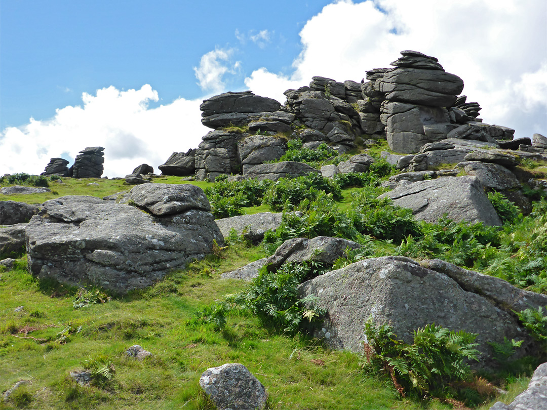 Hound Tor