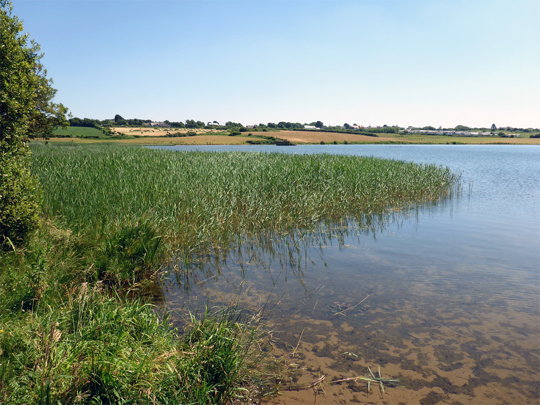 North shore of Kenfig Pool