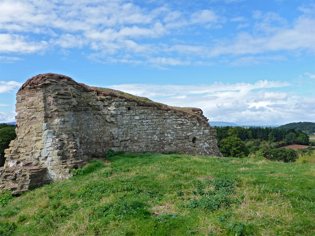 South wall