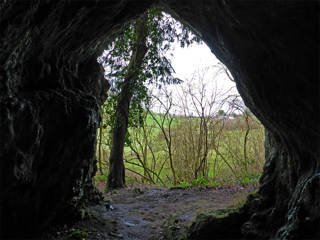 Cave entrance