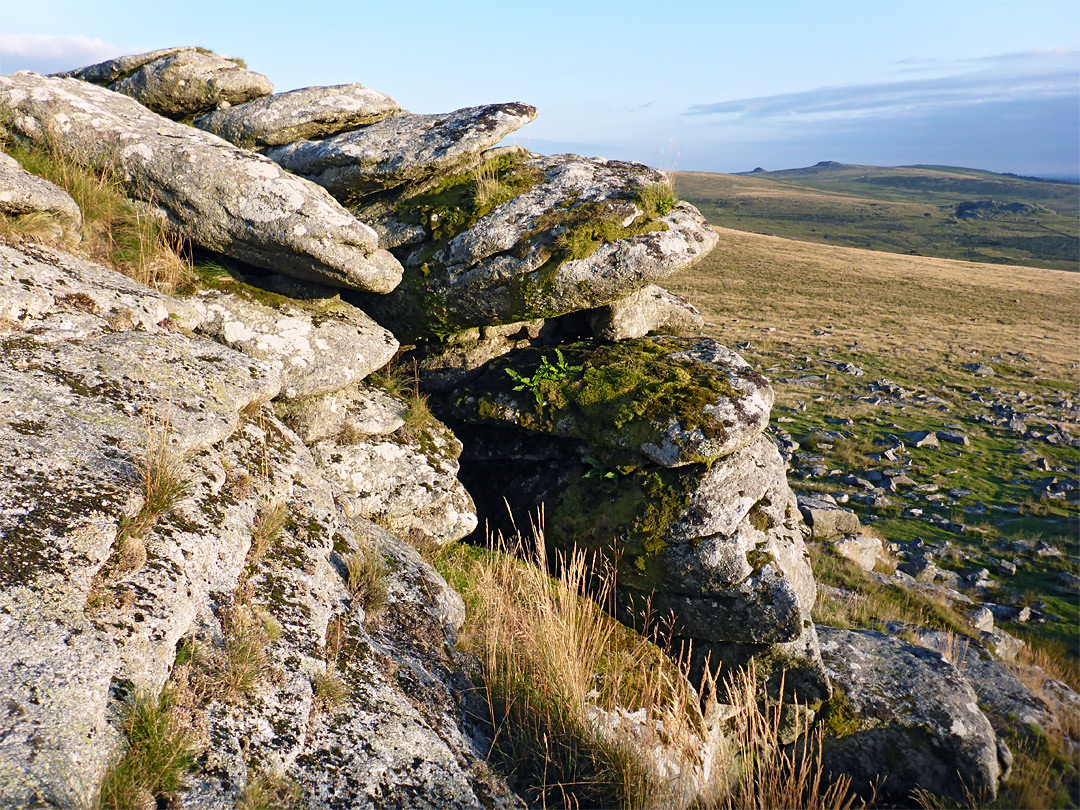 Moss on granite