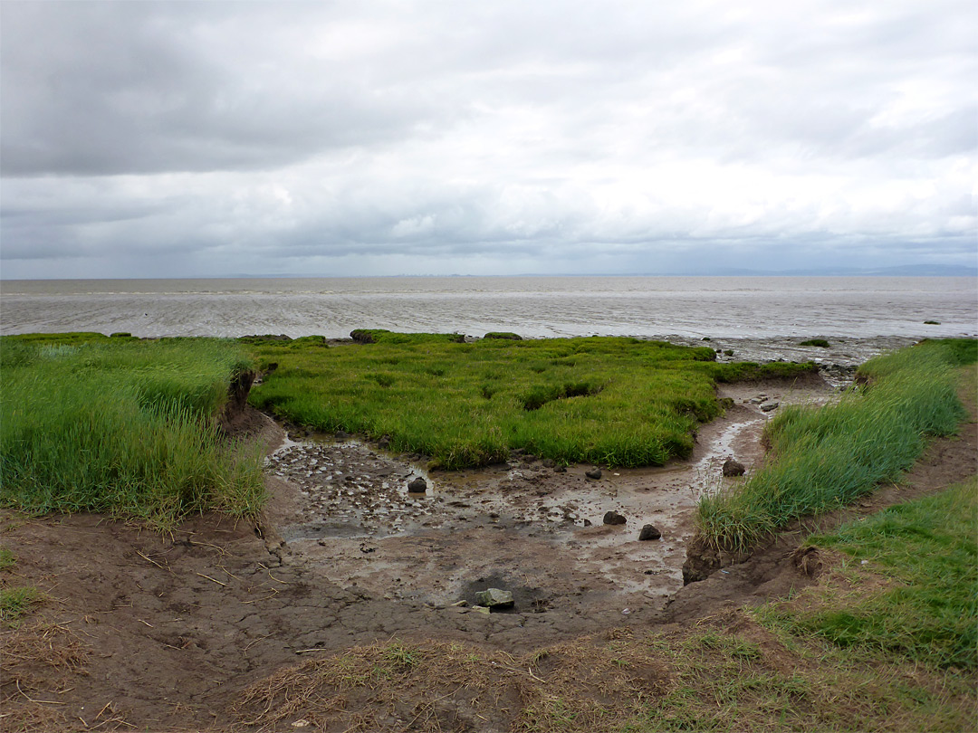 Saltmarsh