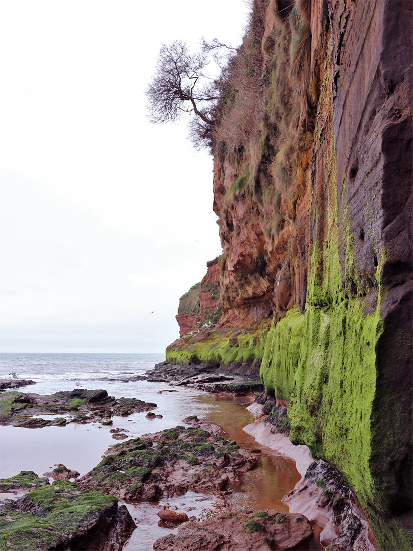 Vertical cliff