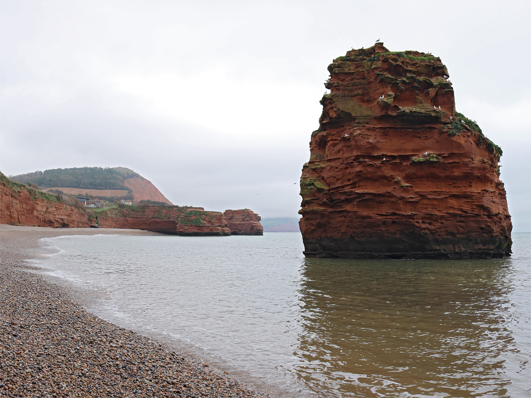 Ladram Bay