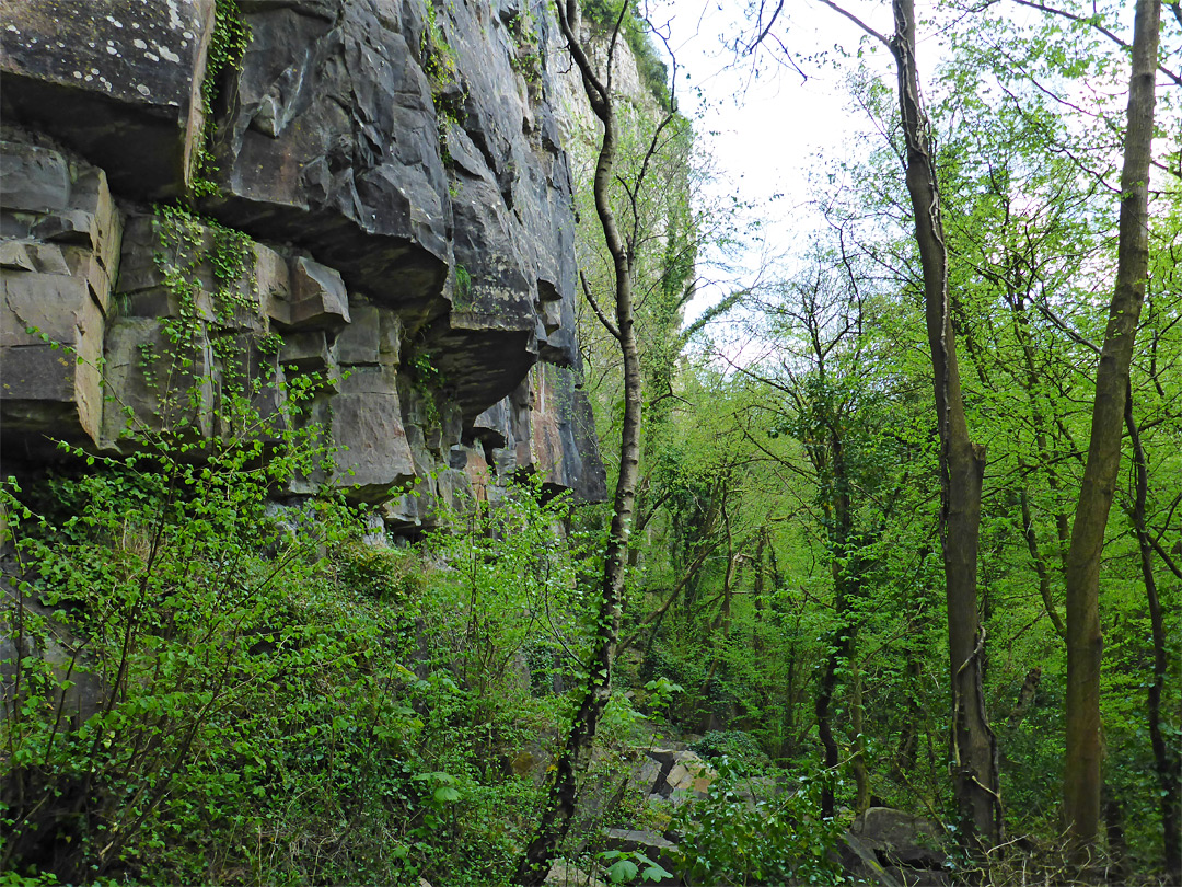 Cliff face