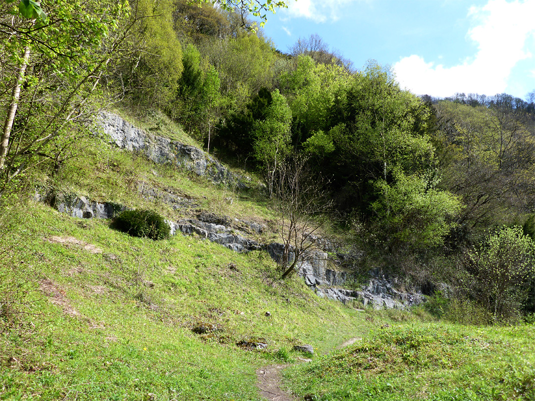 Lancaut Quarry