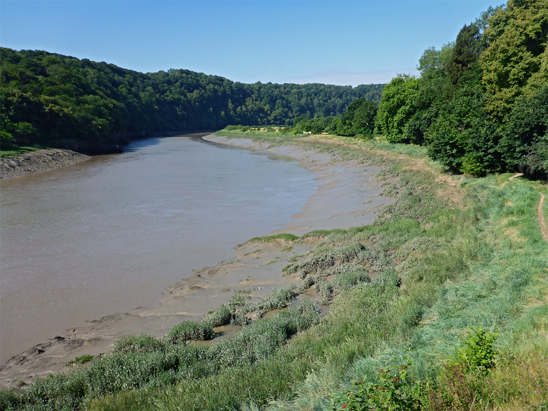 Tidal river